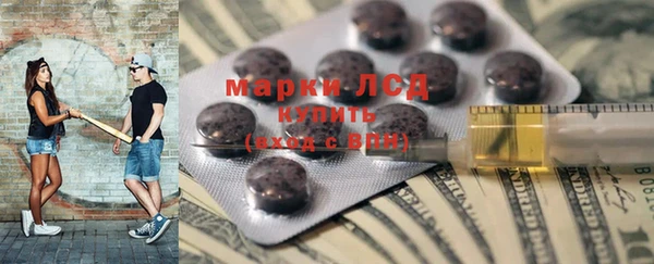 ешки Новодвинск