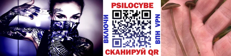 Галлюциногенные грибы мицелий  даркнет сайт  Сосновка 